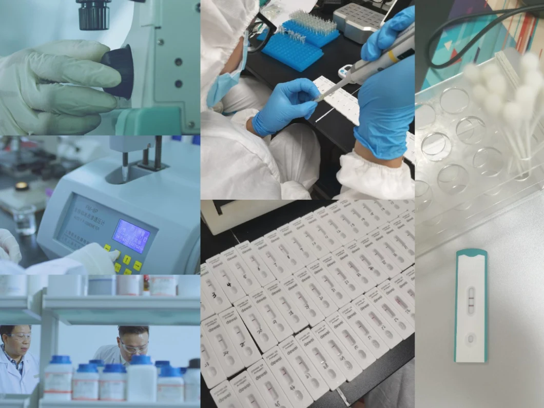 Ck-MB Rapid Test (Whole Blood/Serum/Plasma) Chromatographic Immunoassay Qualitative Detection