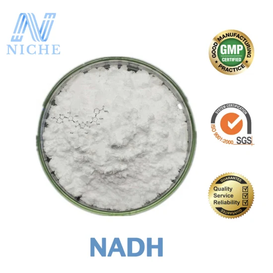 Nadh 98% 酵素栄養補助食品心血管疾患用送料無料 CAS: 606-68-8